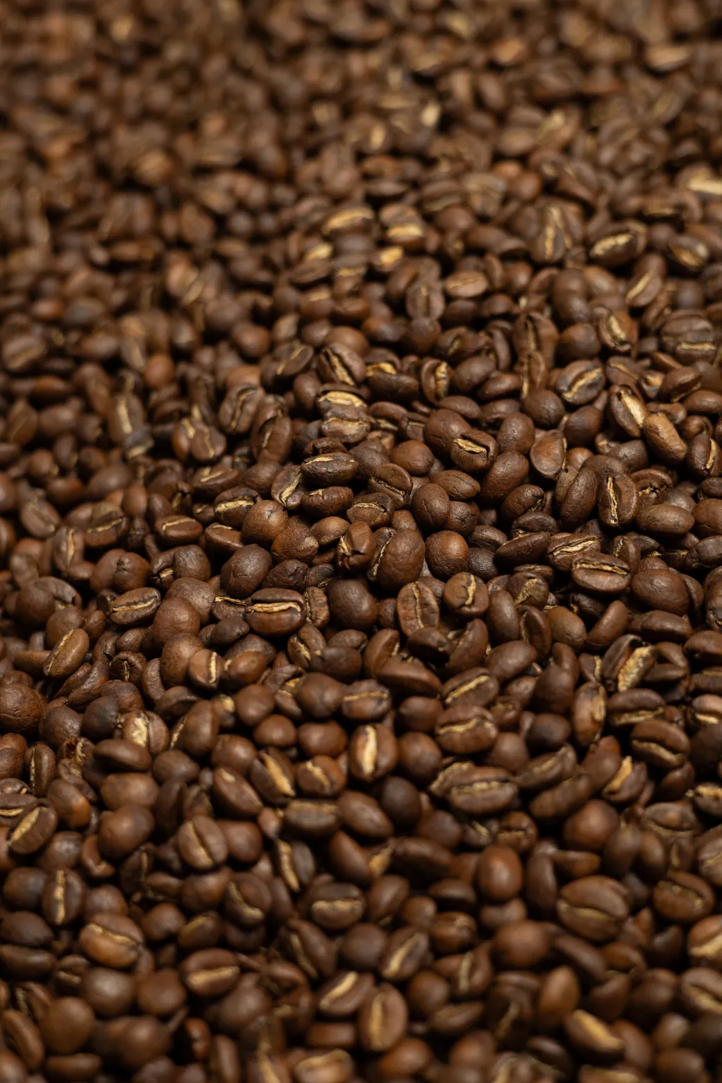 Parcerito Coffee – fotografía de directivo para página web – fotografía corporativa en Bogotá